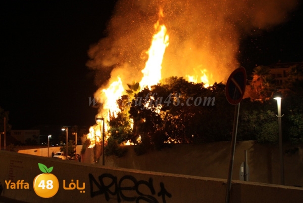 fire minas2 sterer (2).JPG